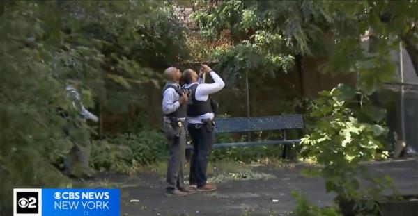 Investigators standing near a Bronx building where a 10-year-old girl fell to her death